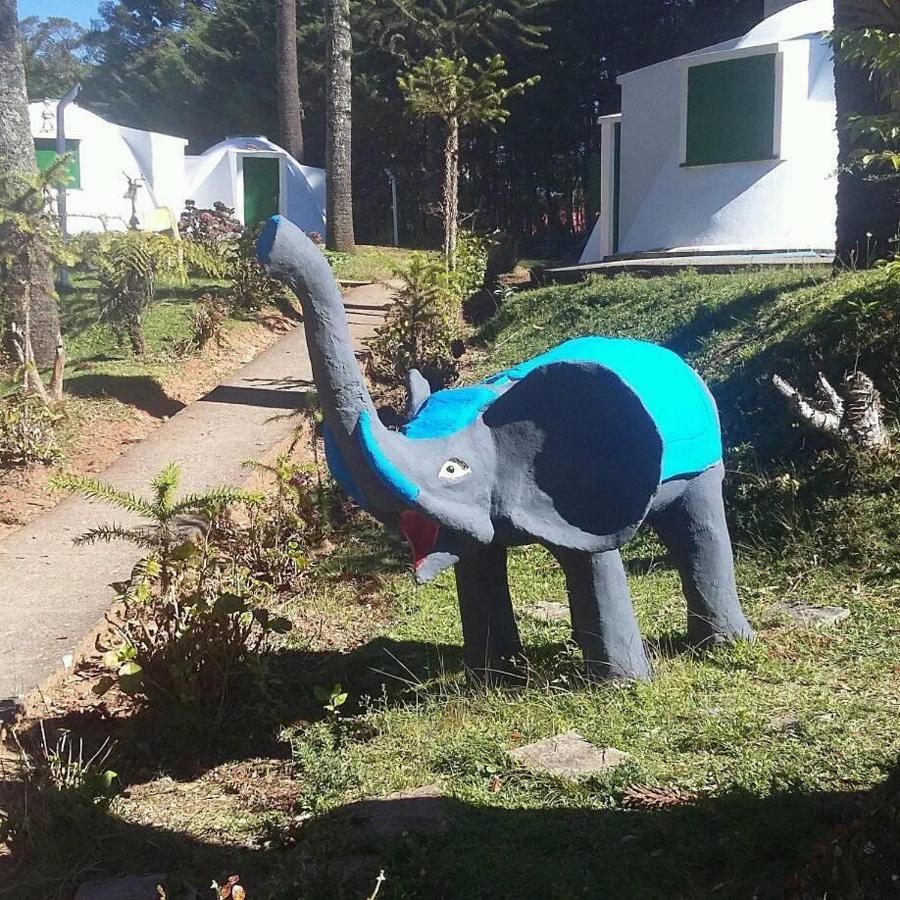 Ribeiro - Igloos