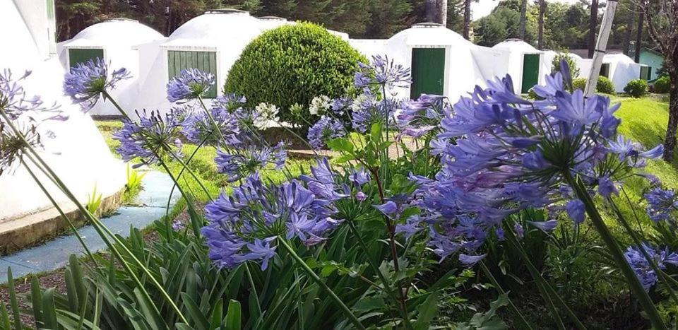 Ribeiro - Igloos Hotel Campos do Jordão